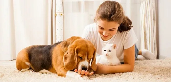 Building a pet care fund: how consistent, automated saving can prepare you for your pet’s future
